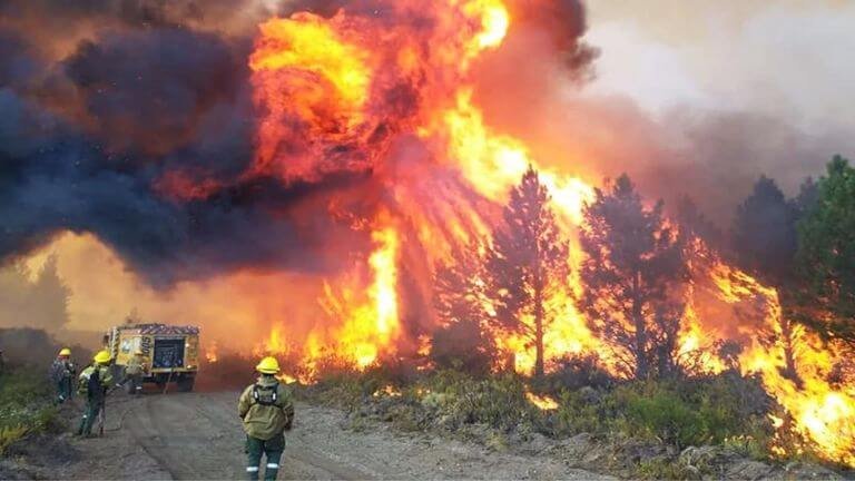 Incendios en Argentina: más de 250 mil hectáreas afectadas en Corrientes y focos activos en la Patagonia