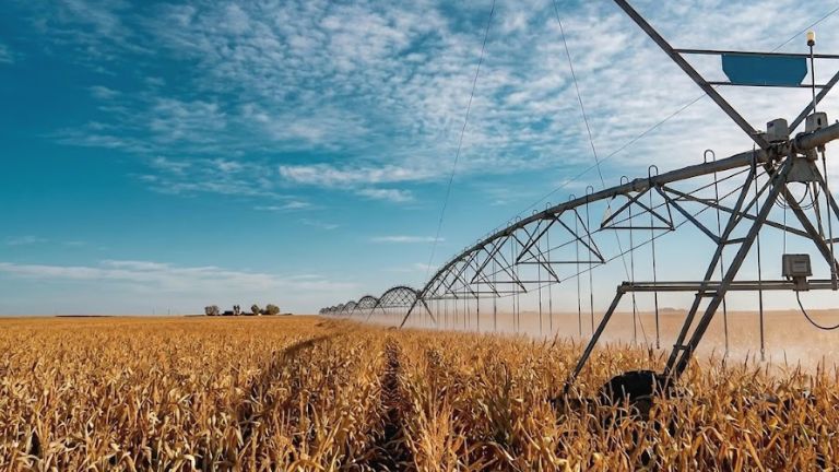 El Gobierno quita el requisito de inversión mínima para tres sectores del agro en el RIMI