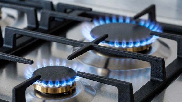 El Senado aprobó cambios en el régimen de Zonas Frías y eliminó subsidios al gas para Santa Fe y otras provincias