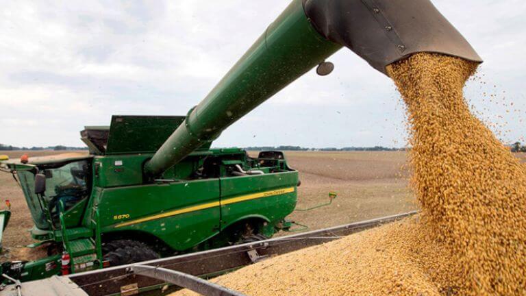 La liquidación de agroexportaciones cayó un 3% en julio por el fin de incentivos fiscales
