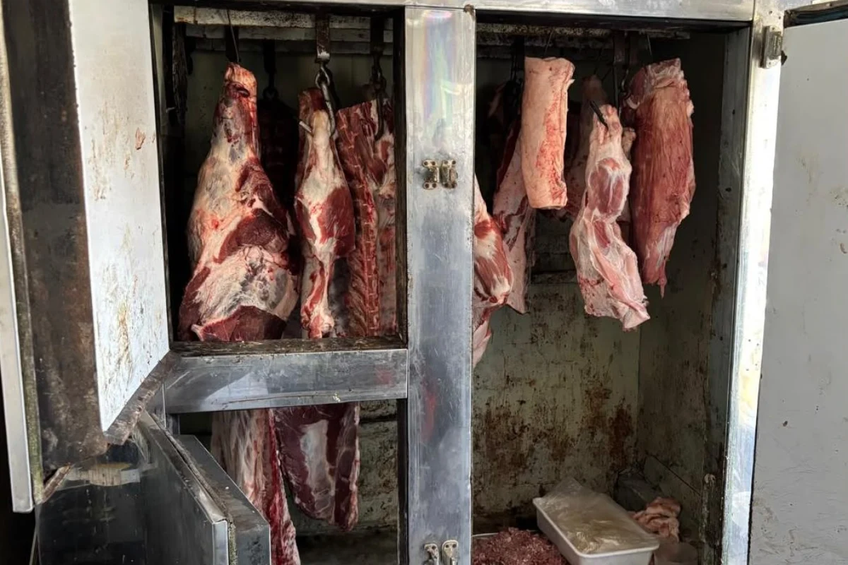 Allanaron un establecimiento clandestino de faena en Venado Tuerto y decomisaron 150 kilos de carne