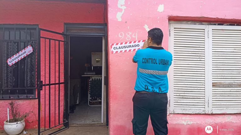 Clausuran carnicería clandestina en Venado Tuerto; decomisan 129,5 kilos de carne