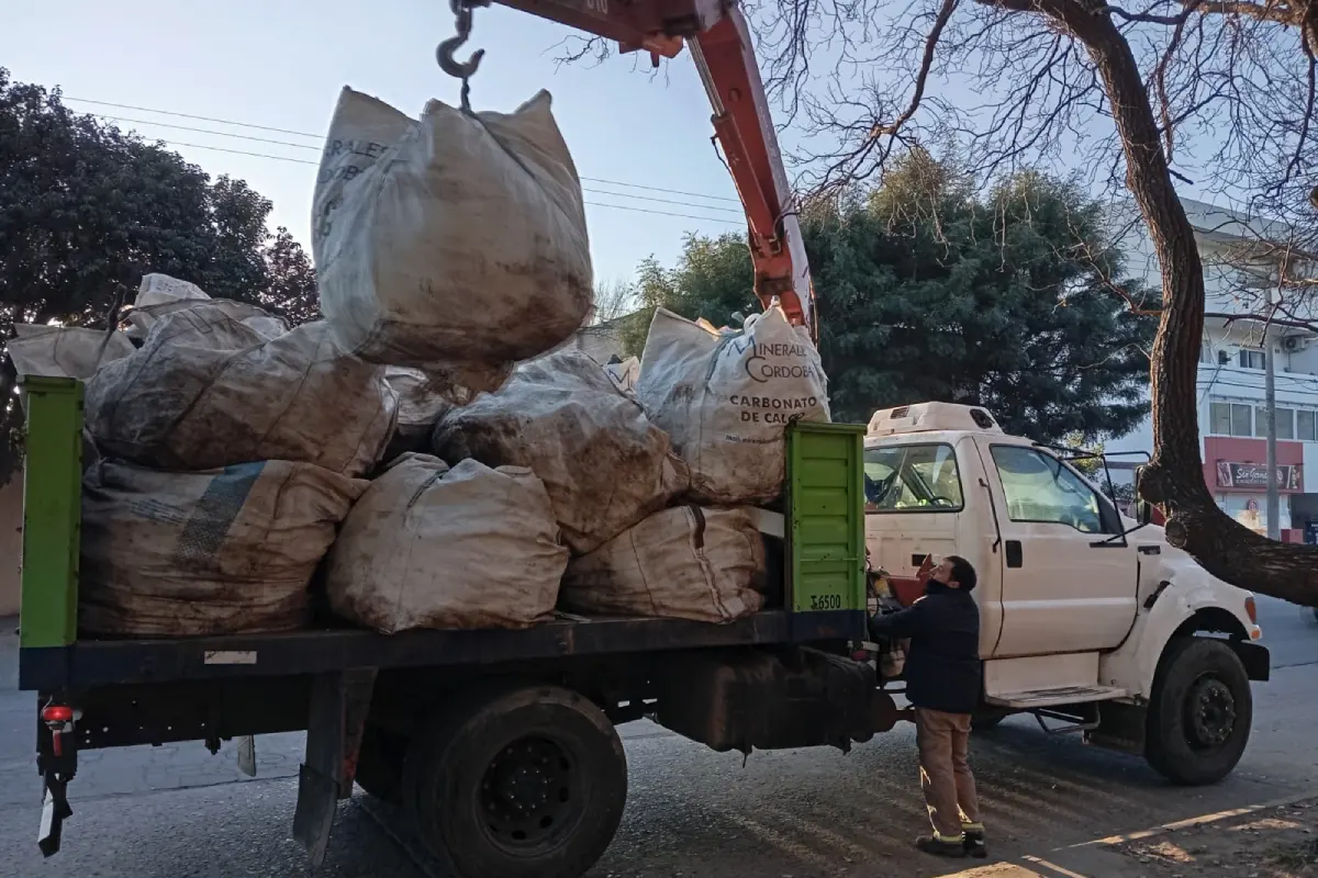 Venado Tuerto activa el cronograma de recolección de residuos verdes en la Zona 1