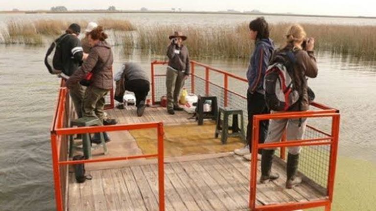 Venado Tuerto será sede del 4° Encuentro Santafesino de Observadores de Aves